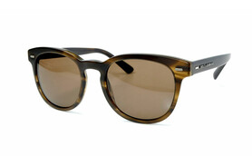 Dolce Gabbana 4254 2964