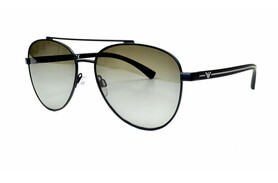 Emporio Armani 2079 3001\8E