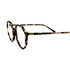 Ana Hickmann 6031 G21