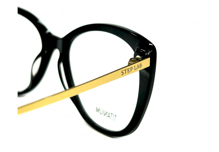 Stepper 10023 101
