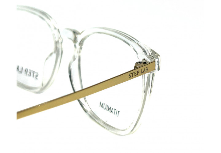 Stepper 10029 102