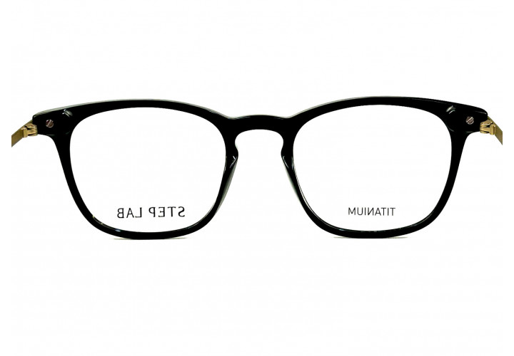 Stepper 10050 101