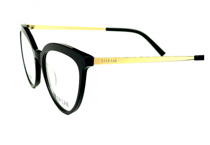 Stepper 10051 101