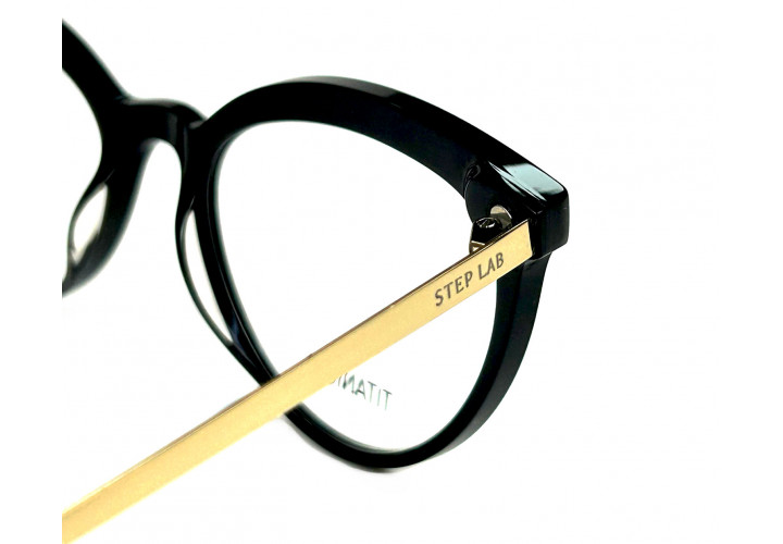 Stepper 10051 101