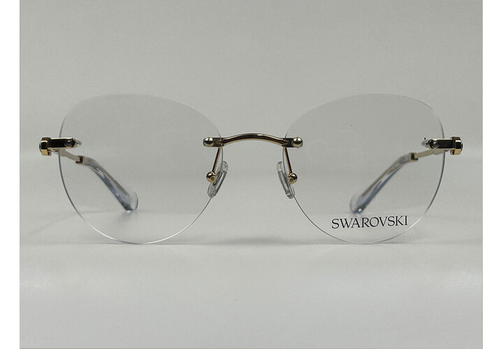 Swarovski 1021 4004